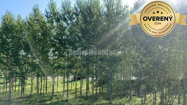 JEDINEČNÁ PONUKA! Upravený a slnečný pozemok na predaj.
