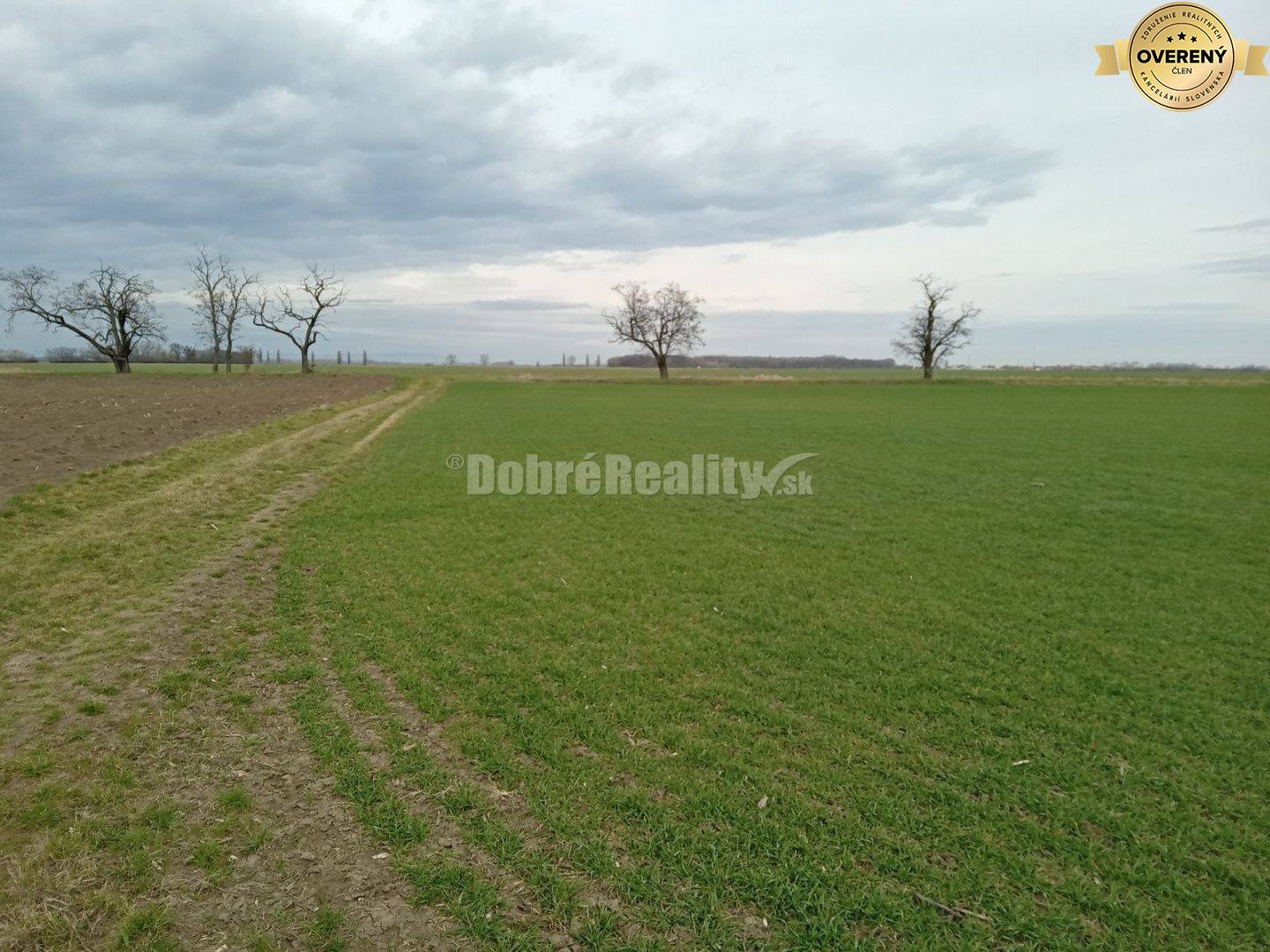 Lukratívny pozemok v Hodoch na PREDAJ!