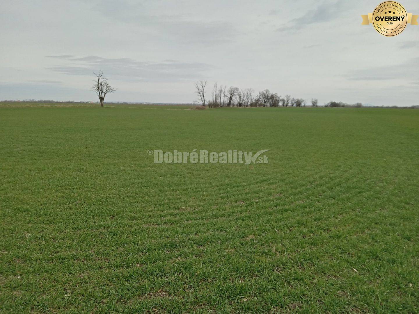 Lukratívny pozemok v Hodoch na PREDAJ!