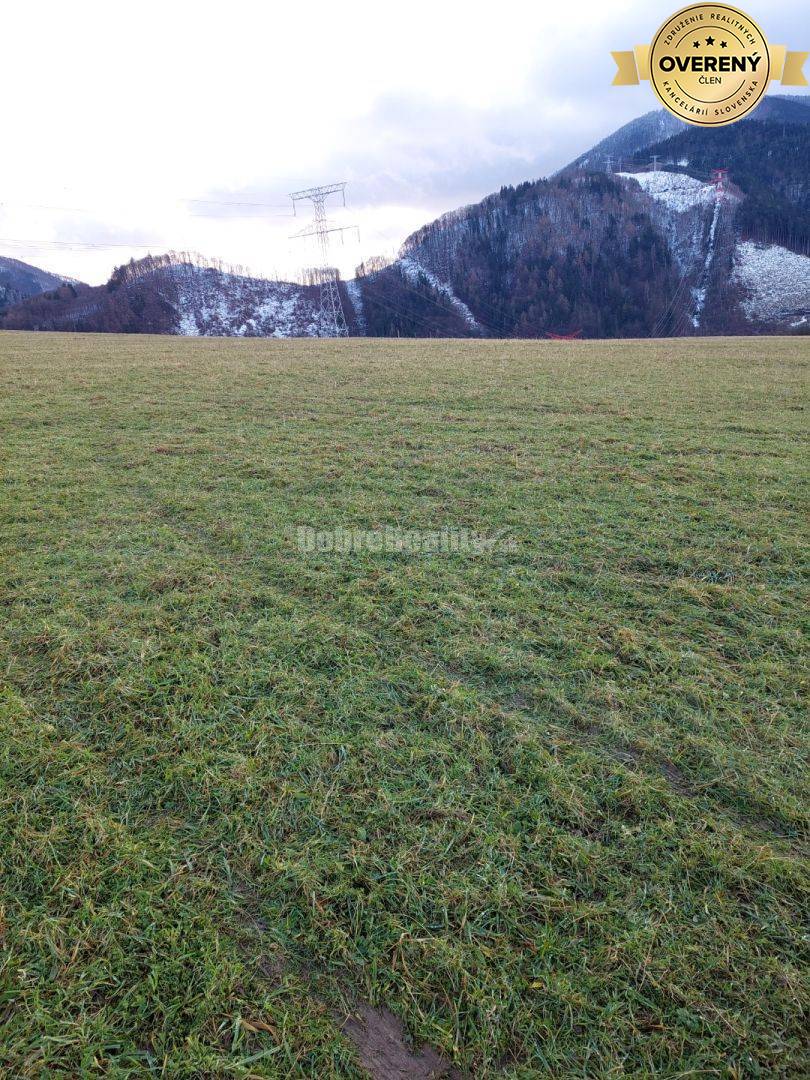 Pozemok-lúka Nezbud.Lúčka