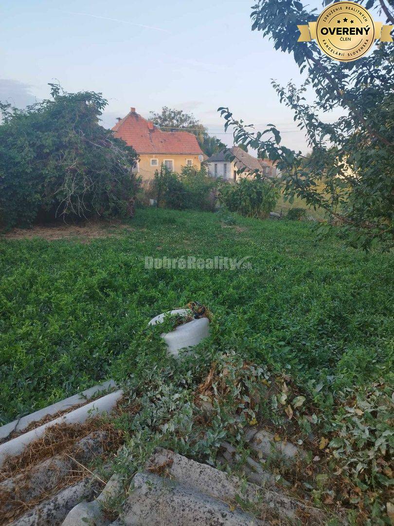 Starší rodinný dom v obci Vlčany , vhodný na kompletnú rekonštrukciu