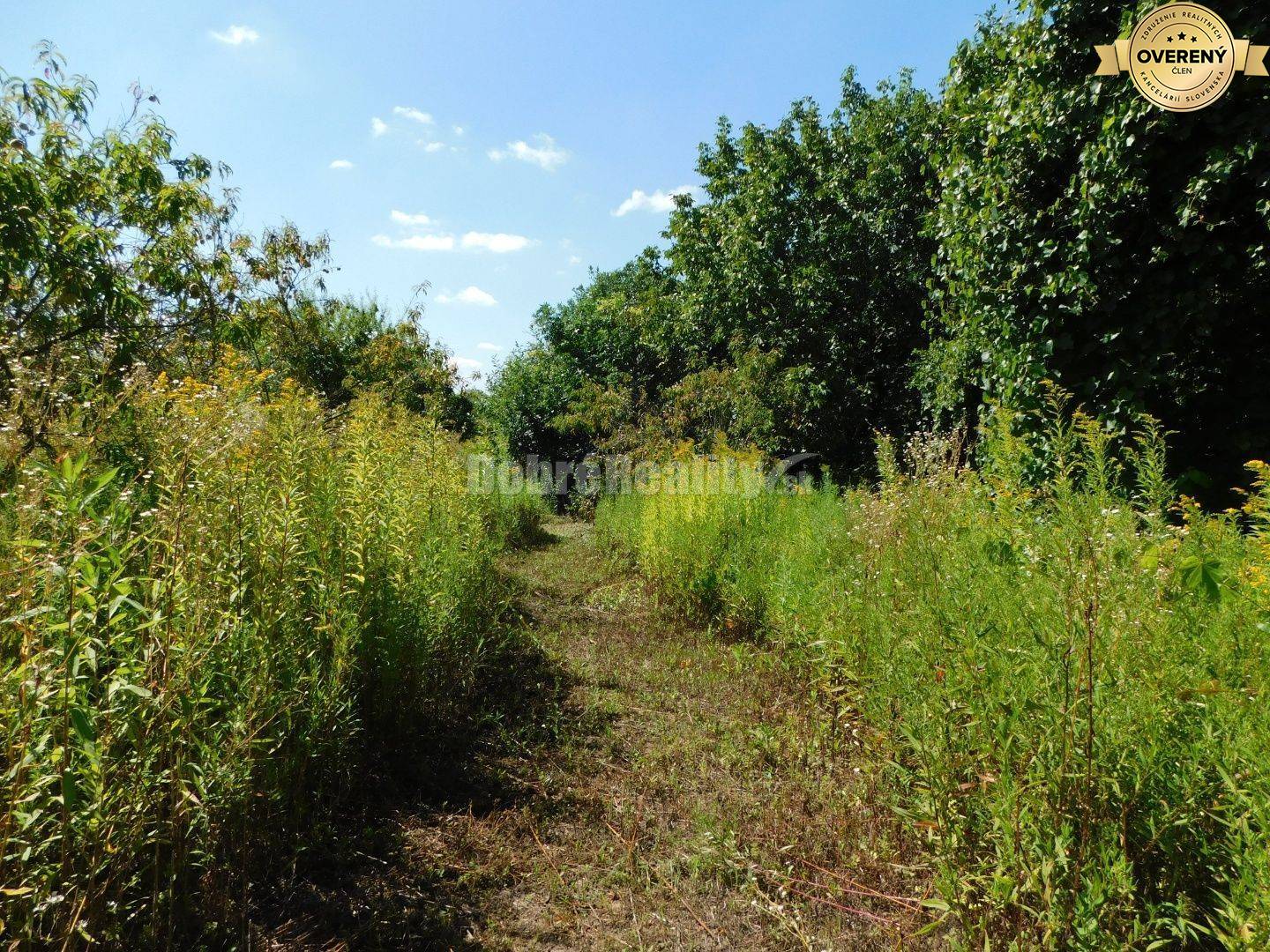 Ponúkame Vám na predaj útulný 4-izb. rodinný dom v obci Gbelce.