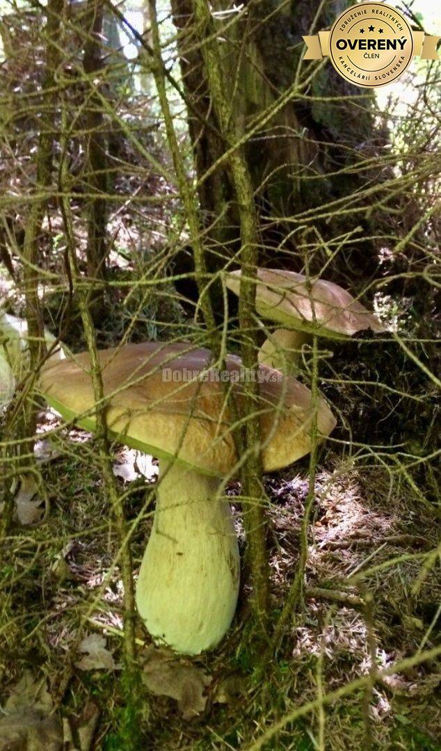 Znížená cena - Dobré reality Vám ponúkajú na predaj obývateľnú chatu