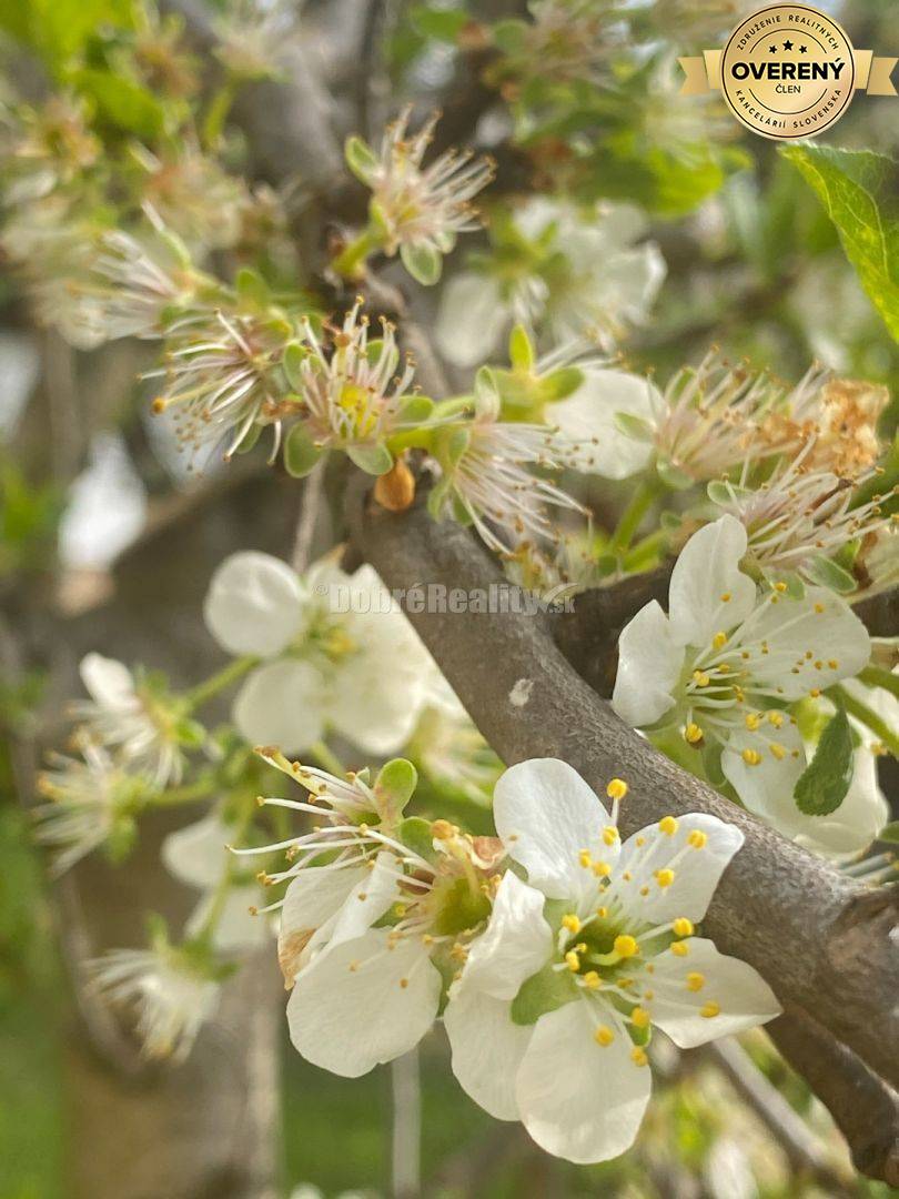 REZERVOVANÉ: Božská retro chalupa s duchom pokoja, Horehronie - Heľpa,