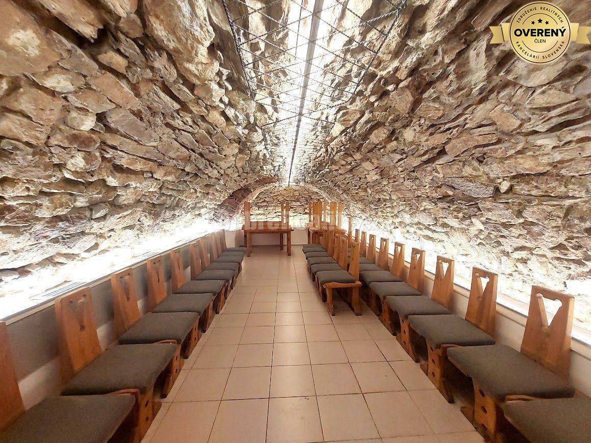 PRENÁJOM: ZAUJÍMAVÝ PRIESTOR, CENTRUM