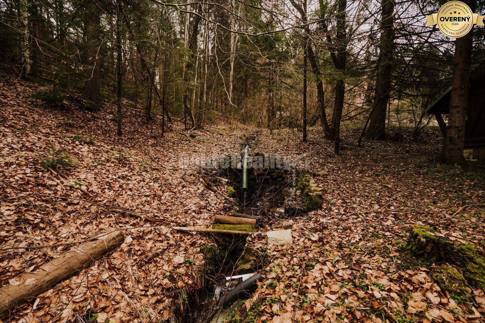 PREDAJ: Chata s terasou v Národnom parku Nízke Tatry, 79 m2, Nemecká -