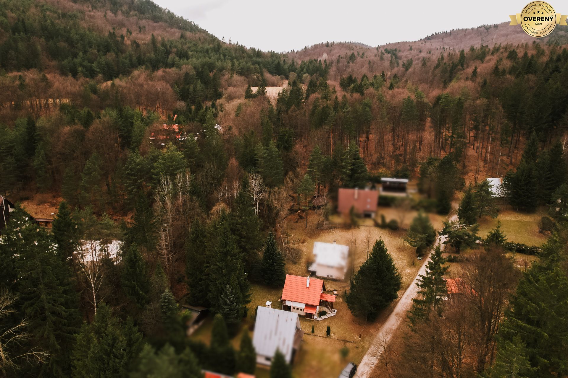 DJI_0969-Edit.jpg