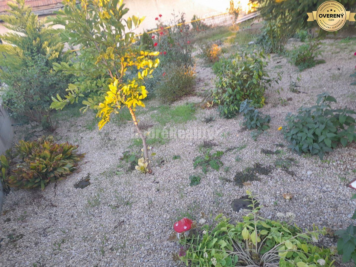 4 izbový dom Dvory nad Žitavou