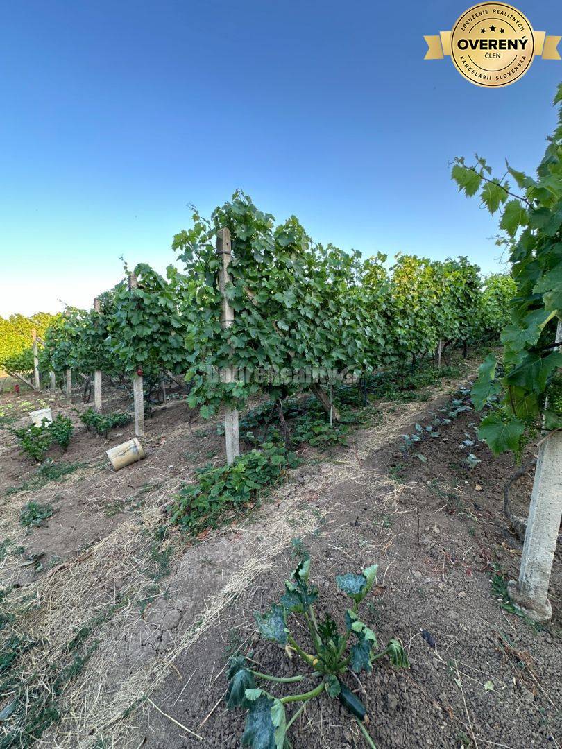 Dobré reality- Na predaj Rekreačný dom