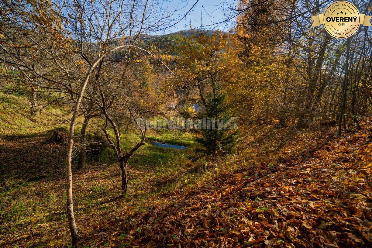 PREDAJ: Tajuplná záhrada s jazierkom a banským potôčikom, 1927 m2, Špa