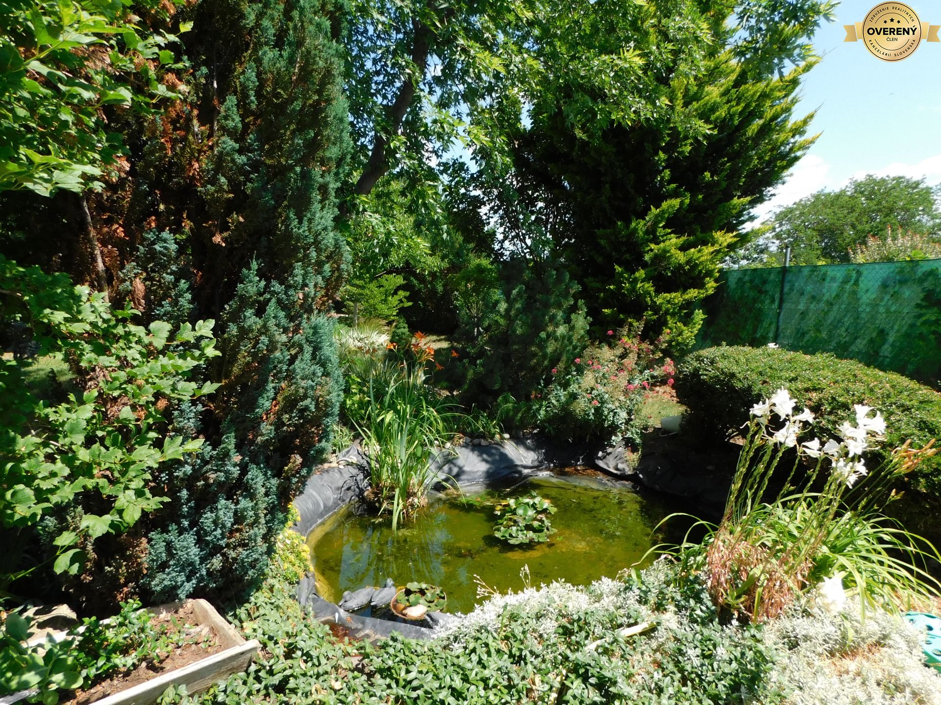 DSCN6368.JPG