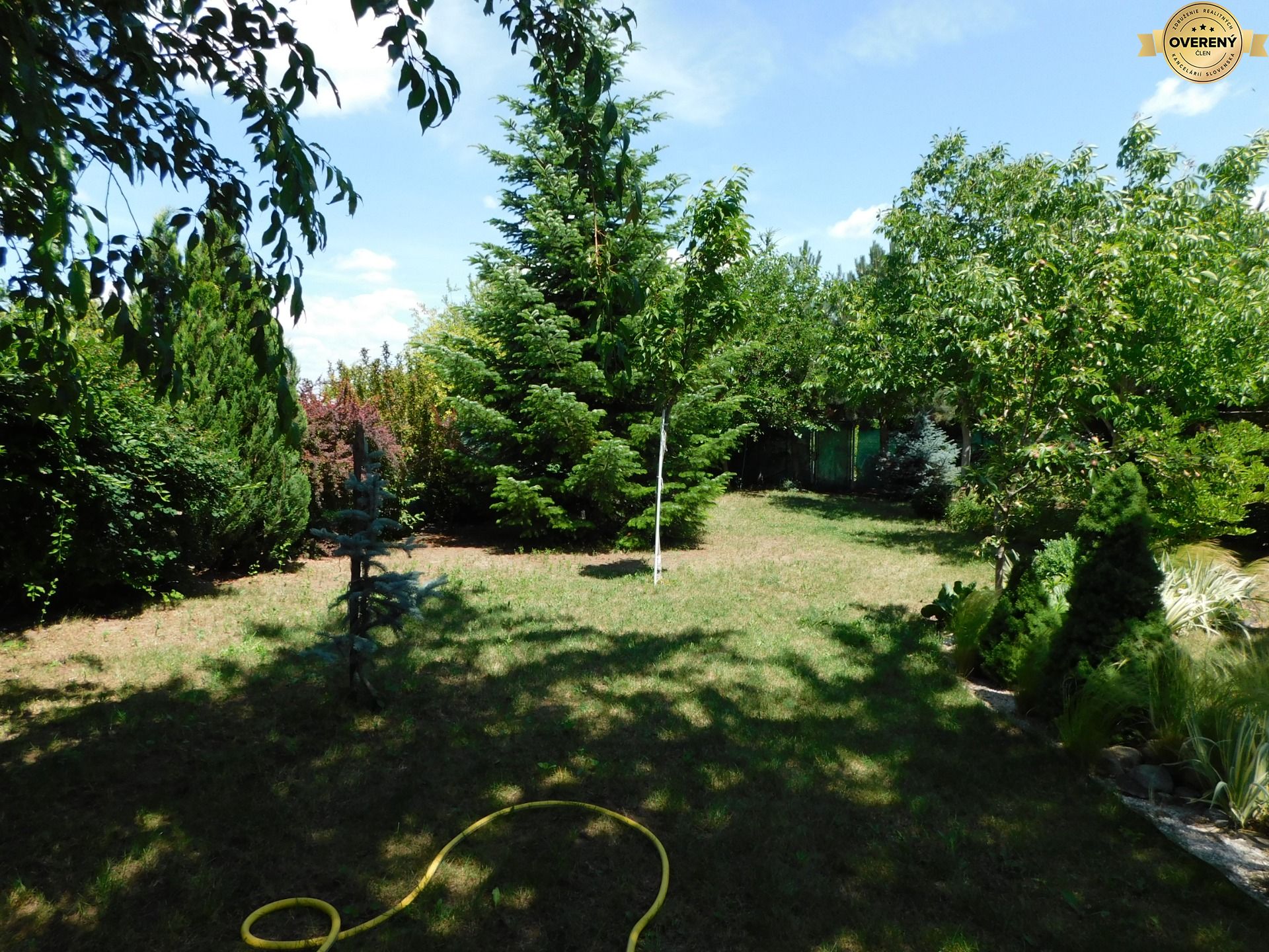 DSCN6377.JPG