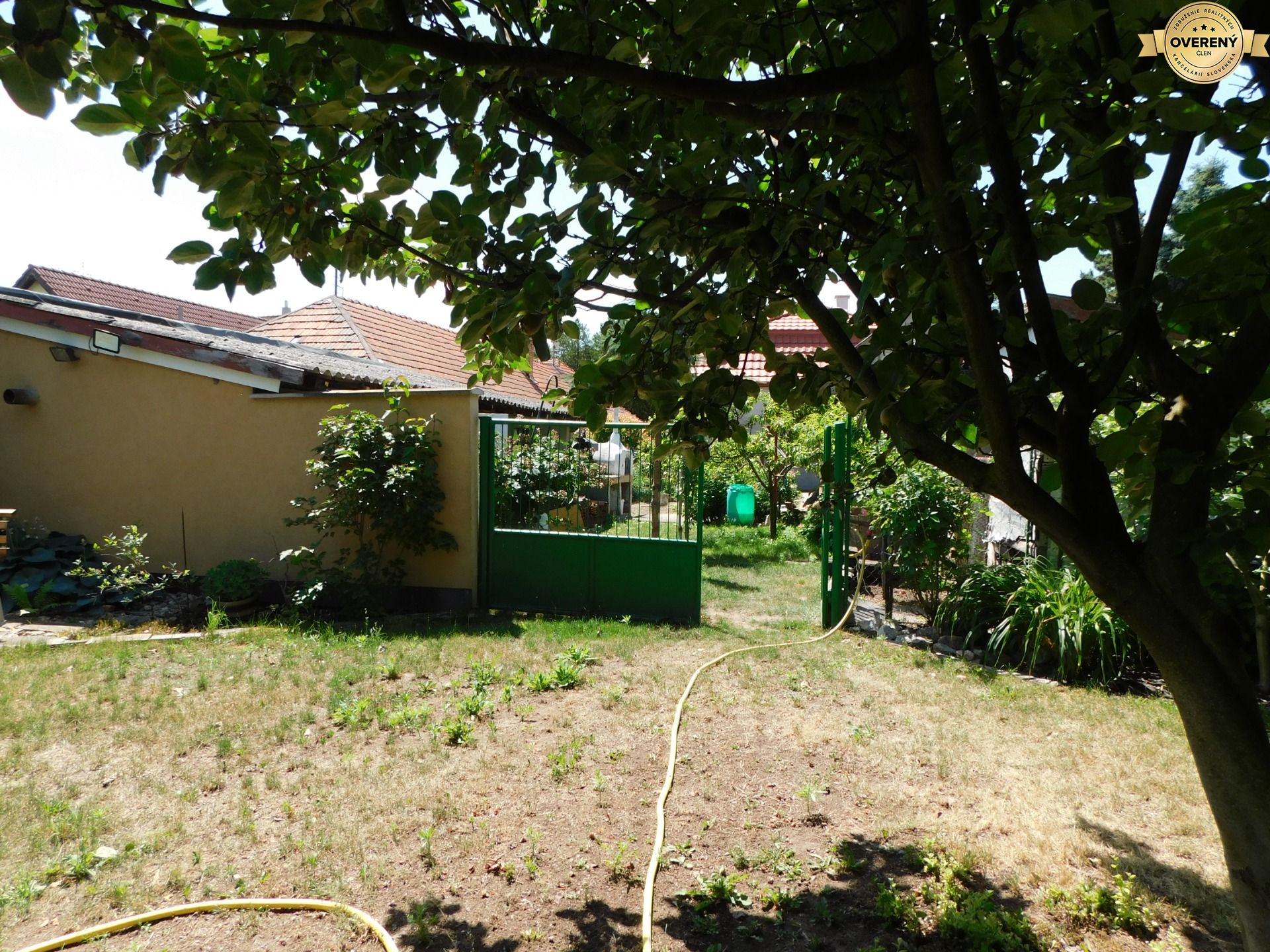 DSCN6388.JPG