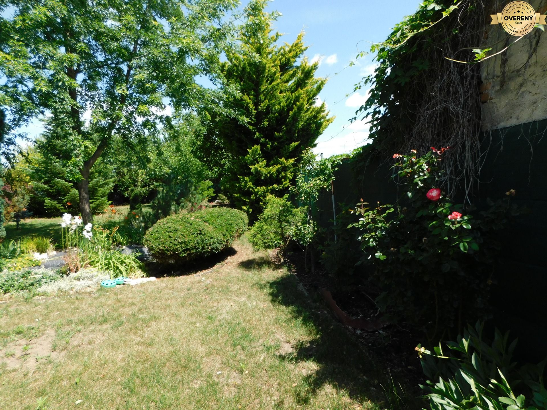 DSCN6371.JPG