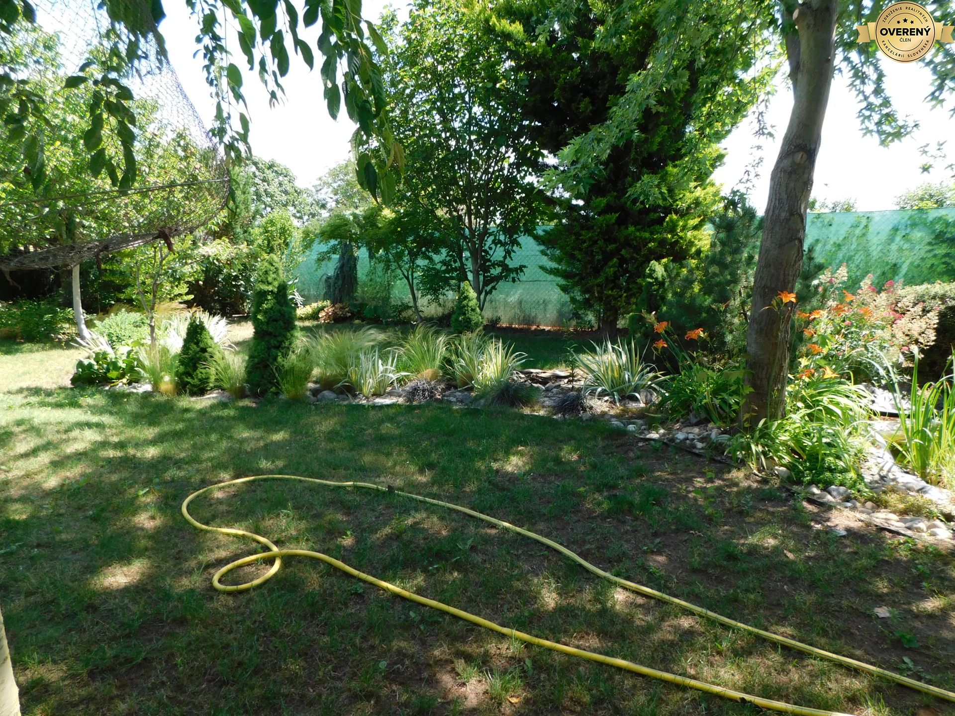 DSCN6373.JPG
