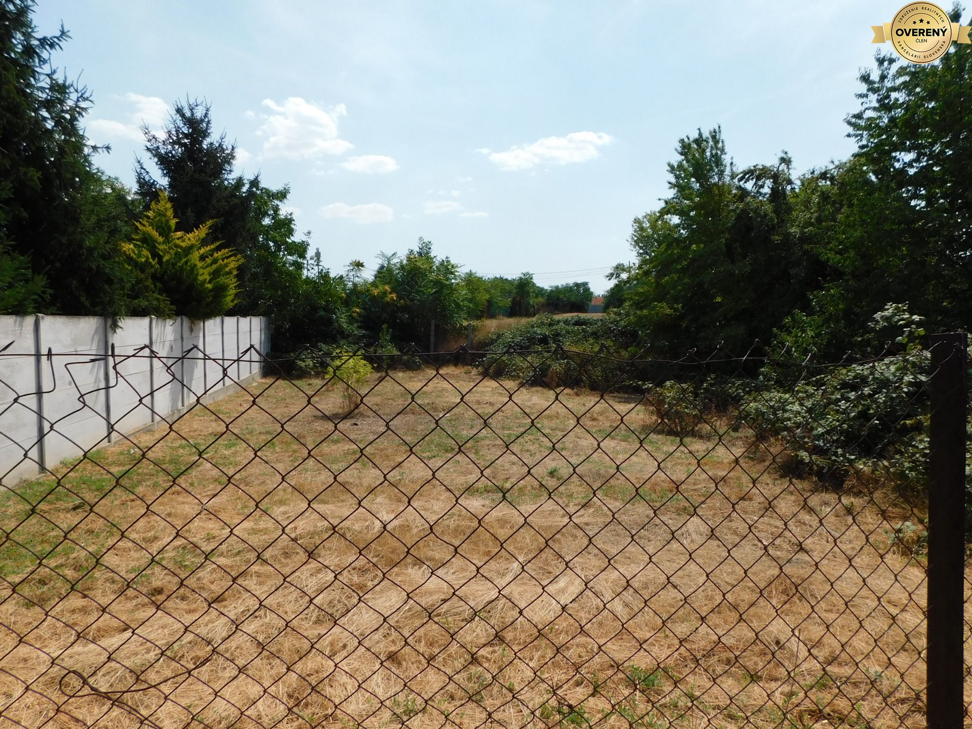 DSCN6737.JPG