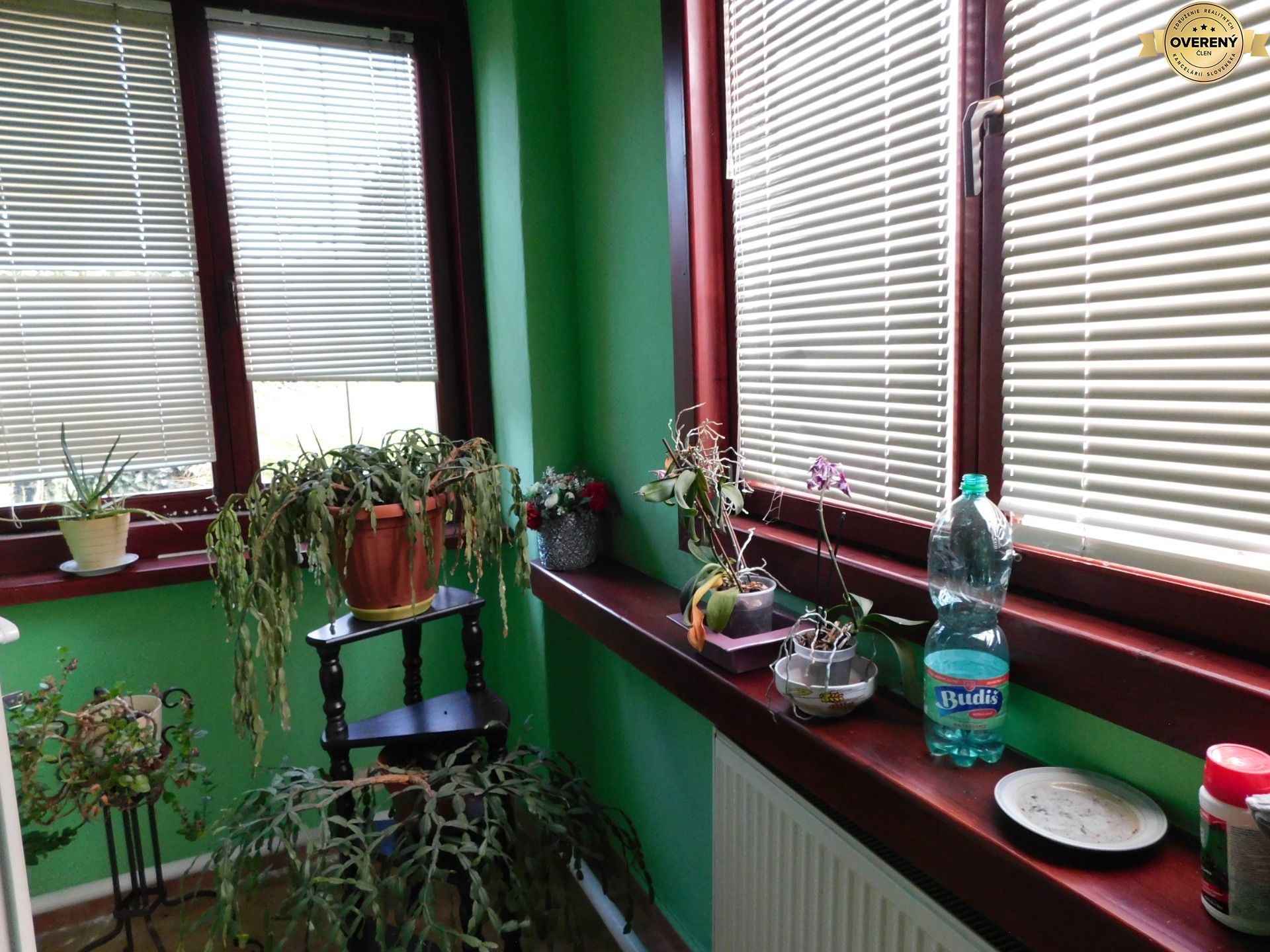 DSCN6920.JPG