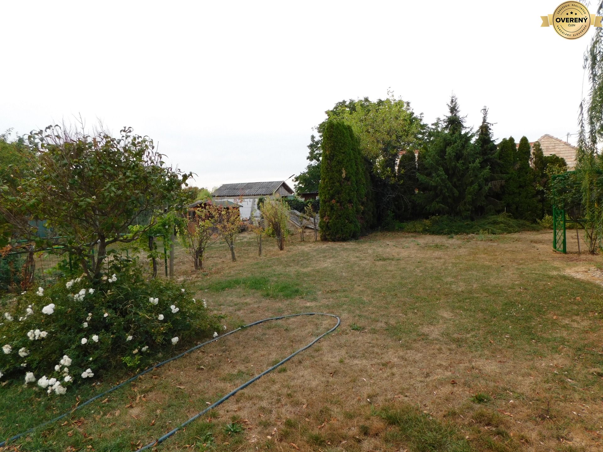 DSCN6947.JPG