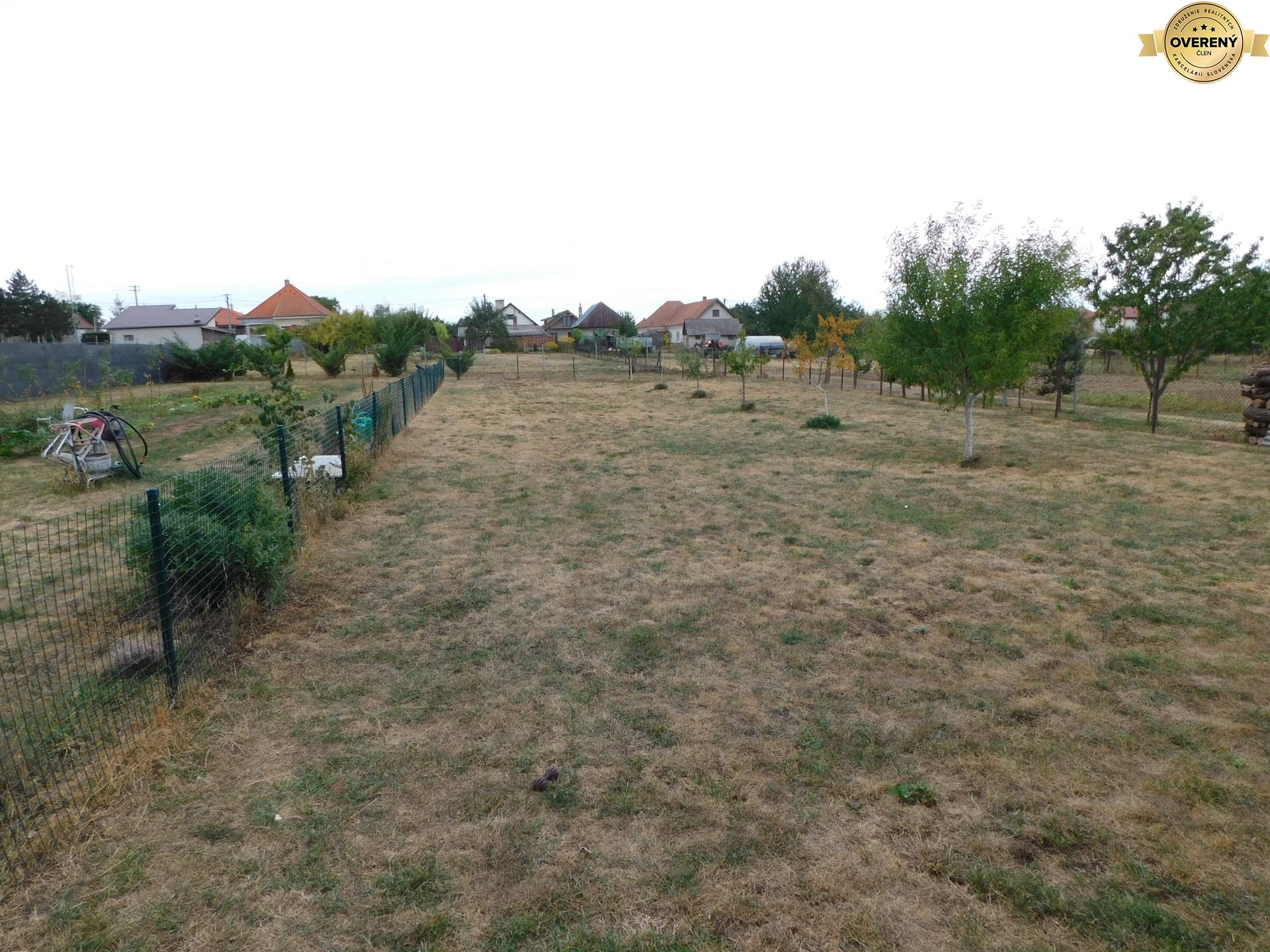 DSCN7039.JPG