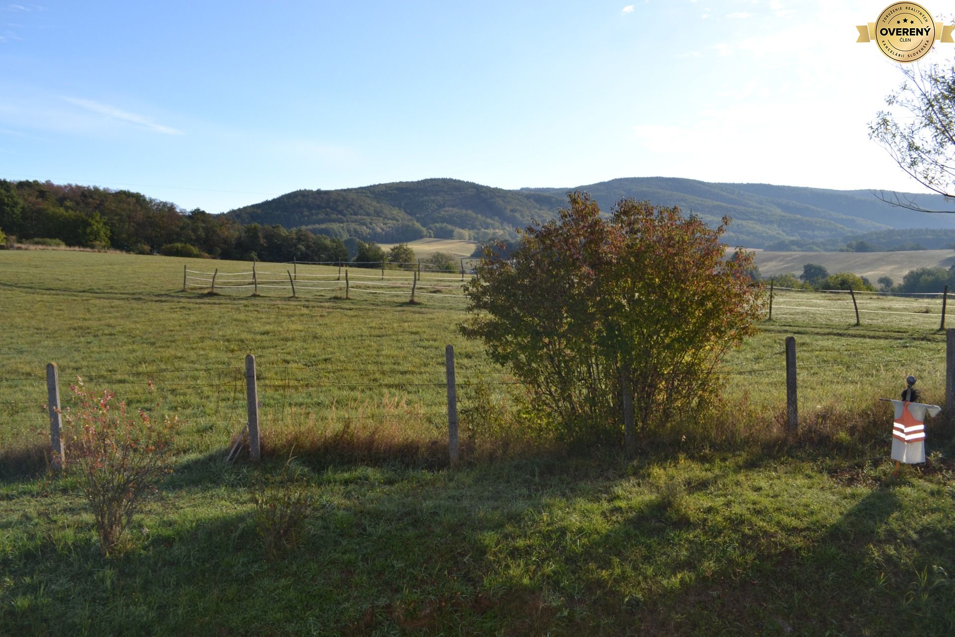 DSC_4402.JPG