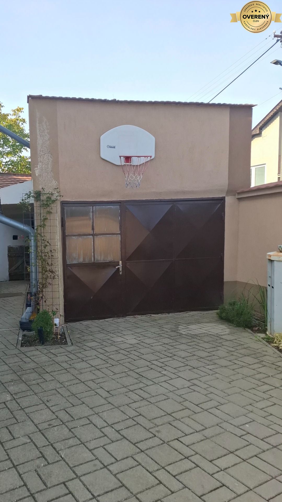 1000059407.jpg