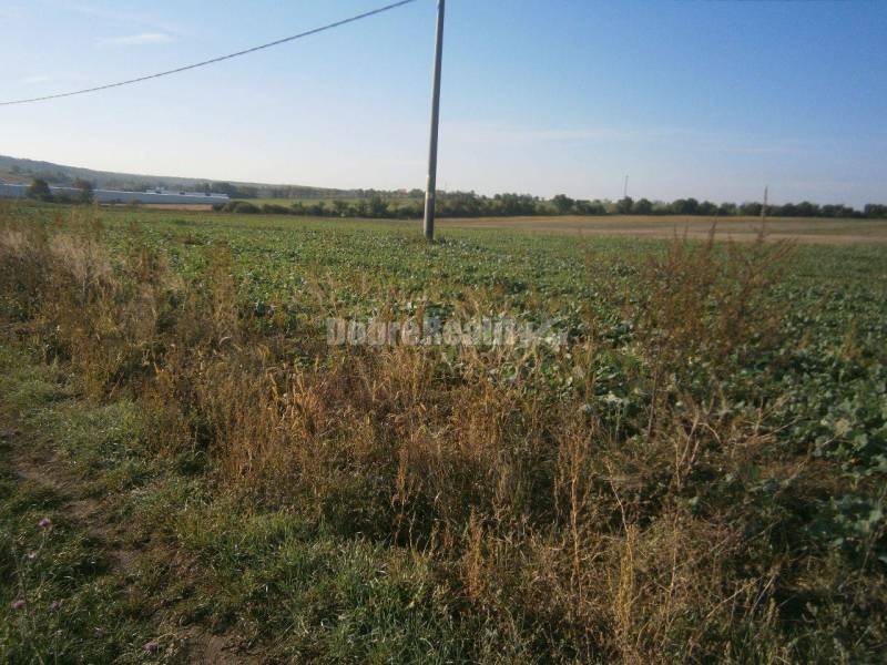 pozemok vhodný pre výstavbu rodinných domov o výmere 10 ha v obci Ruma