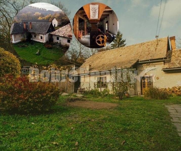 PREDAJ: Hajnalov vodný mlyn s náhonom, bytom mlynára, domom, včelínom,