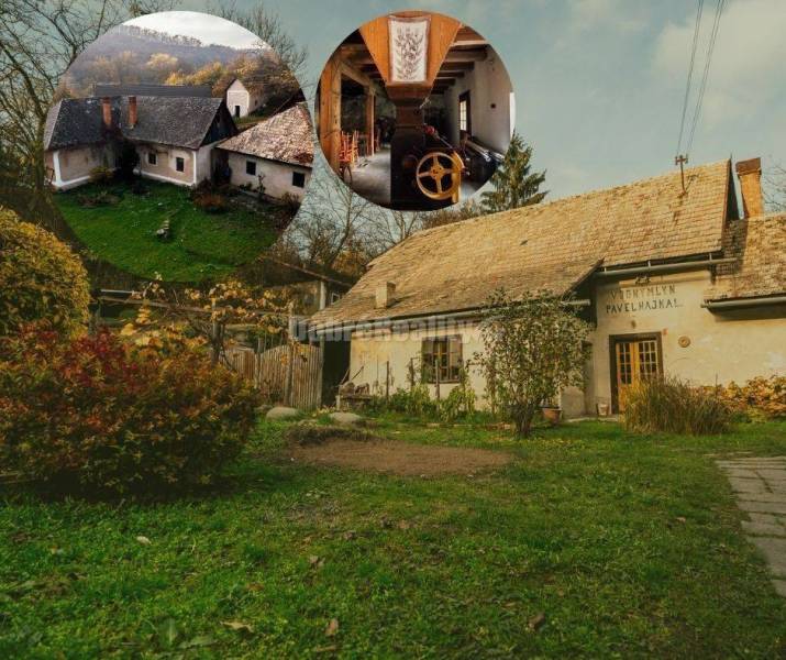 PREDAJ: Hajnalov vodný mlyn s náhonom, bytom mlynára, domom, včelínom,