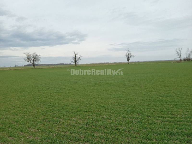 Lukratívny pozemok v Hodoch na PREDAJ!