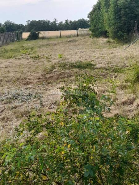 Stavebný pozemok 2815m2 Branovo