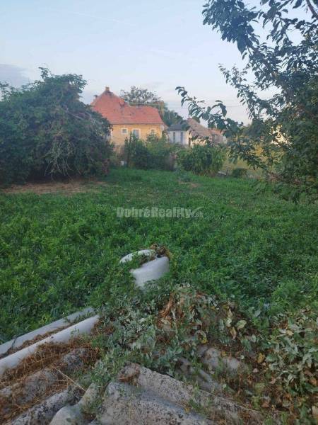 Starší rodinný dom v obci Vlčany , vhodný na kompletnú rekonštrukciu Starší rodinný dom v obci Vlčany , vhodný na kompletnú rekonštrukciu