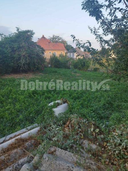 Starší rodinný dom v obci Vlčany , vhodný na kompletnú rekonštrukciu