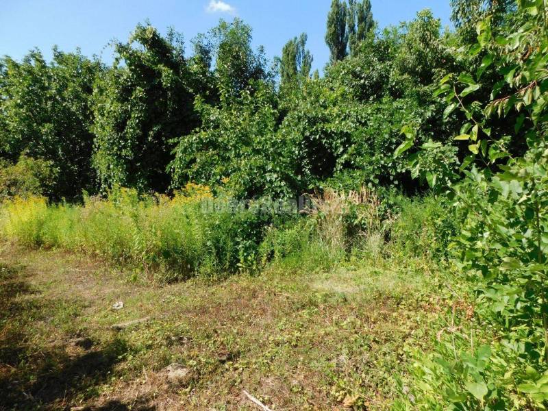 Ponúkame Vám na predaj útulný 4-izb. rodinný dom v obci Gbelce.