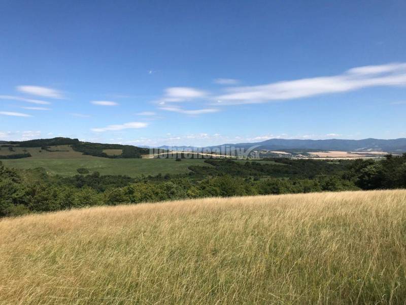 Ponuka slnečných pozemkov pre Váš  pokojný domov alebo rekreáciu v Bzi