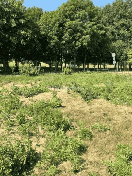 Stavebný pozemok na predaj...