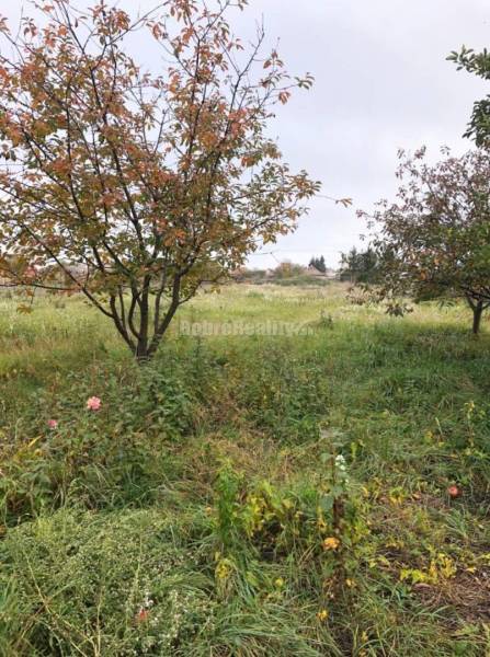 Rodinný dom s veľkým pozemkom na predaj... Rodinný dom s veľkým pozemkom na predaj...