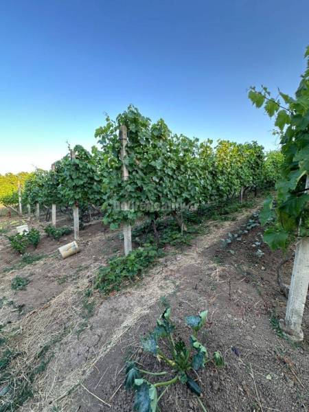 Dobré reality- Na predaj Rekreačný dom