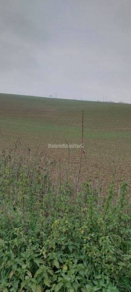 EXKLUZIVNE! na predaj orná pôda Nitra - Kynek, ulica Na Dolinu