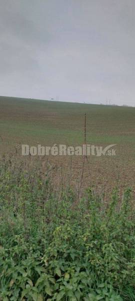 EXKLUZIVNE! na predaj orná pôda Nitra - Kynek, ulica Na Dolinu