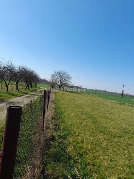 Stavebný pozemok Branovo