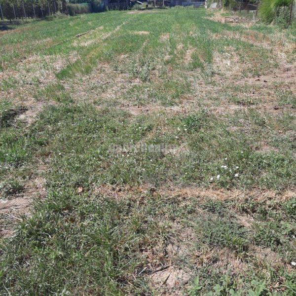 Stavebný pozemok v obci Jasová na predaj !