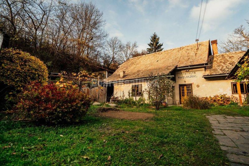 Historický mlyn s bytom mlynára a samostatným domom, 371 m2, Medovarce