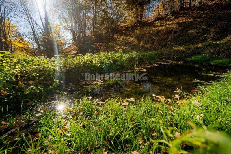 PREDAJ: Tajuplná záhrada s jazierkom a banským potôčikom, 1927 m2, Špa