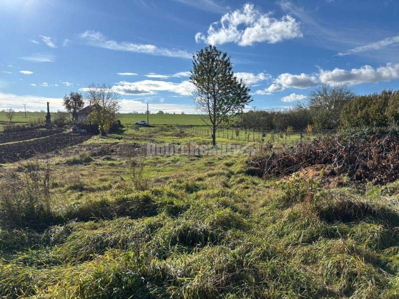 Priestranný stavebný pozemok v obci Jasová na predaj ! 