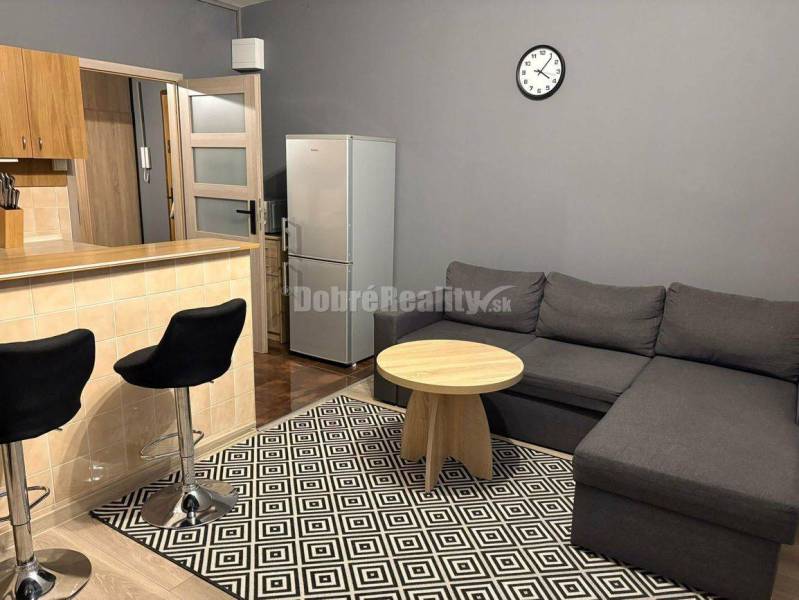 Prenajom veľkého 1izb bytu 48m2