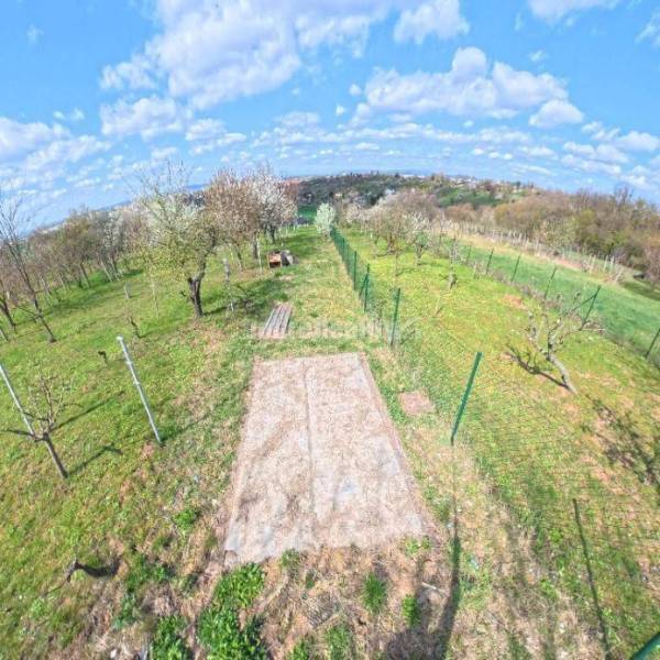 Dobré Reality ponúkajú Rekreačný pozemok  Staré Predné Levice 