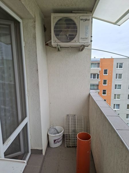 20260331_130856.jpg