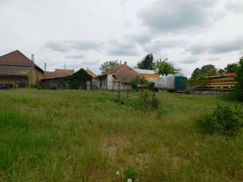 Pozemky na bývanie v Dvoroch nad Žitavou s vidieckymi stavbami a hustou trávou.