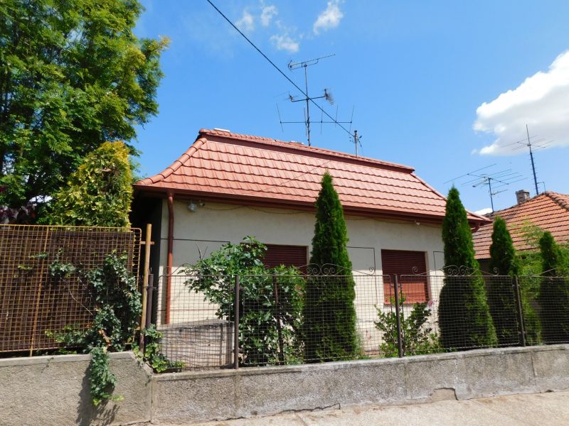 DSCN6398.JPG