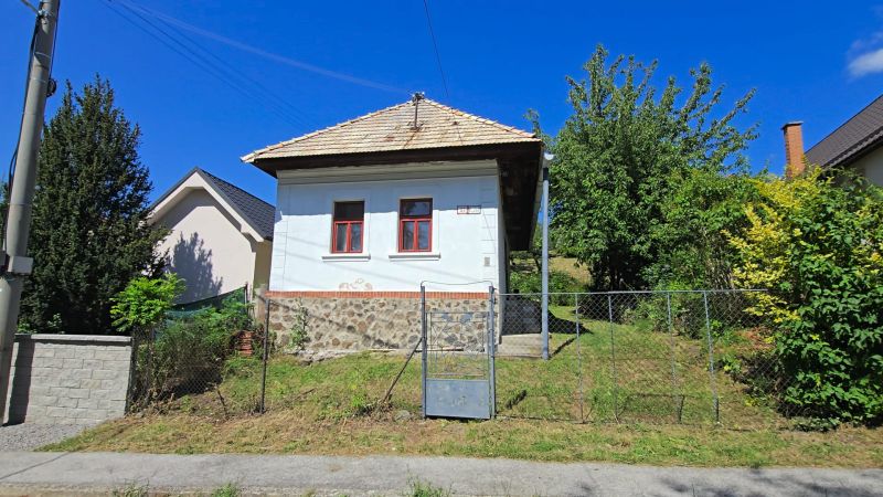 fotka 7.jpg